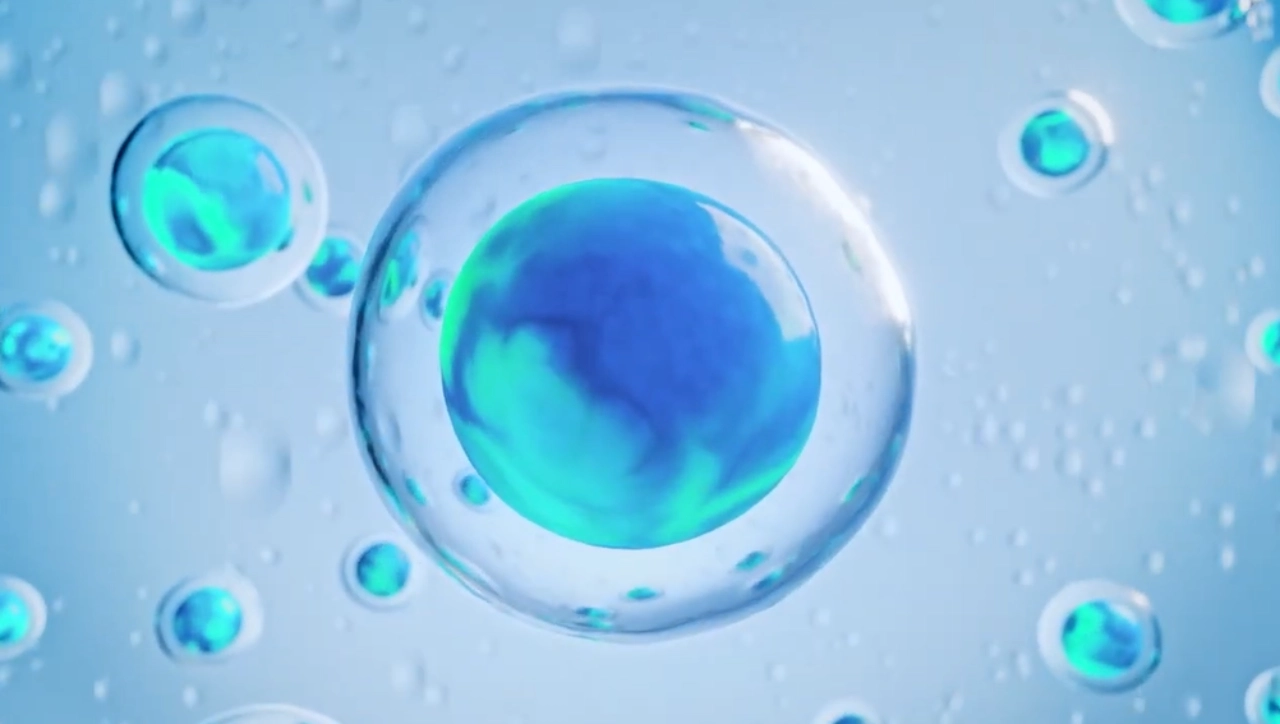 See Our Intelli-Spores in Action